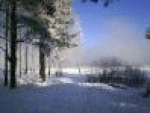 Самоуправство в отеле